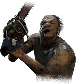 The Hillbilly