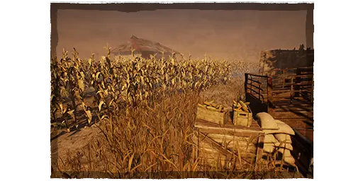 Rotten Fields